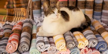 Why do people like Turkish towels? What makes Turkish cotton so special? Are Turkish towels better than regular towels?
